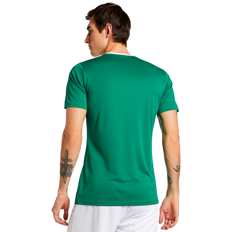 Tricou bărbătesc Demix TEE 48 Verde photo 2