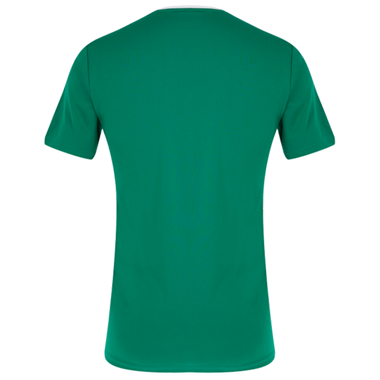 Tricou bărbătesc Demix TEE 48 Verde photo 5