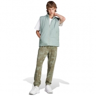 Брюки Adidas ADV GFX SWTPNT thumbnav 3