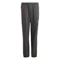 Pantaloni Adidas U CE Q2 CRGO PT 