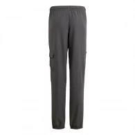 Брюки Adidas U CE Q2 CRGO PT thumbnav 2