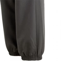 Брюки Adidas U CE Q2 CRGO PT thumbnav 4