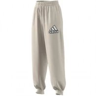 Брюки Adidas W BLUV Q1 PT 