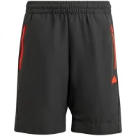 Шорты Adidas U CE Q2 SHORT 