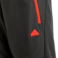 Sorti Adidas U CE Q2 SHORT thumbnav 3