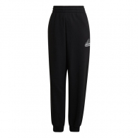 Брюки Adidas W BLUV Q1 PT  thumbnav 1