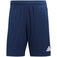 Шорты Adidas TIRO23 CB TRSHO thumbnav