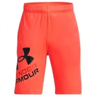 Шорты Under Armour UA BGS PROTOTYPE 2.0 LOGO SHORTS 