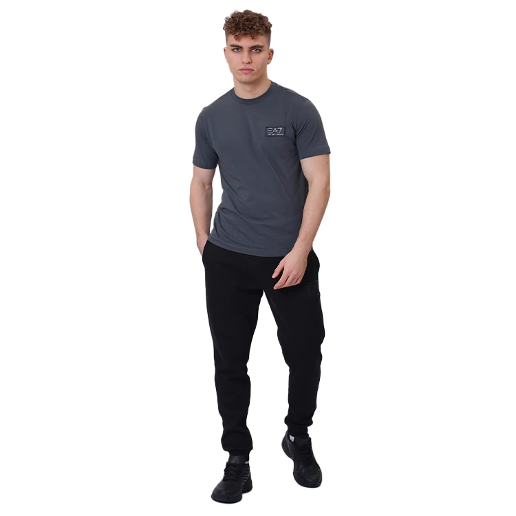 Футболка мужская EA7 EMPORIO ARMANI T-SHIRT S Серый photo 5