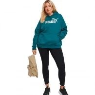 Толстовка Puma ESS Logo Hoodie FL thumbnav 4