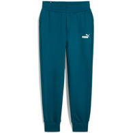 Брюки Puma ESS Sweatpants FL cl thumbnav