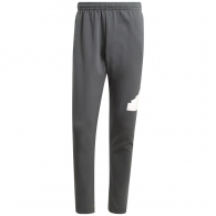 Брюки Adidas M FI BOS PT thumbnav 1
