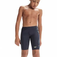 Плавки-шорты Speedo PLMT PRNT JAM JM thumbnav 5
