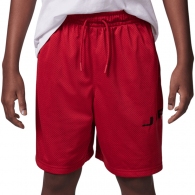 Шорты Nike JDB MJ BASELINE MESH SHORT thumbnav 3
