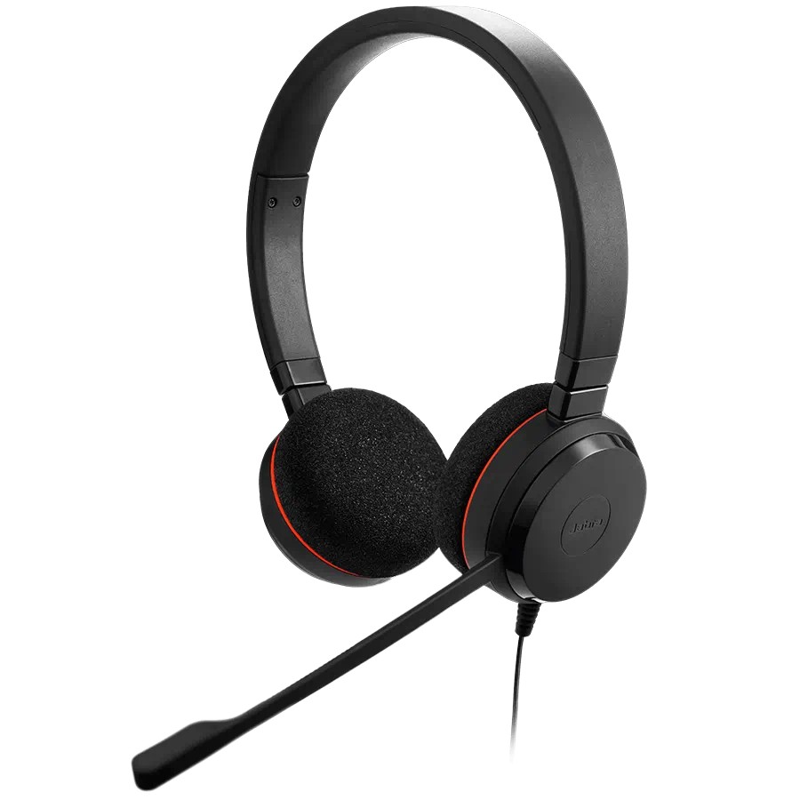 Наушники Jabra Evolve 20 MS / Noise cancelling microphone / USB / Black photo 1