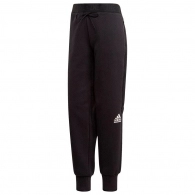 Брюки Adidas W ZNE pnt 