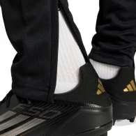 Брюки Adidas SQ25 TR PNT thumbnav 2