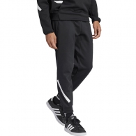 Брюки Adidas M Z.N.E. PT thumbnav 5