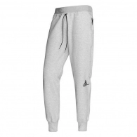 Брюки Adidas W ZNE pnt 