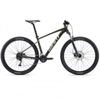 Bicicleta profesional Giant Talon 2 