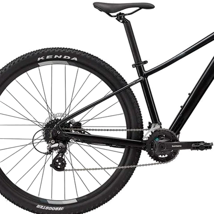 Bicicleta de munte Liv Tempt 3 Negru M photo 5