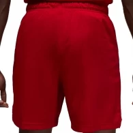 Шорты Nike M J DF SPRT MESH SHORT thumbnav 3