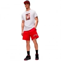 Шорты Nike M J BRK LBR GFX SHORT thumbnav 2