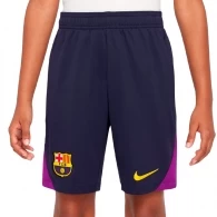 Шорты Nike FCB Y NK DF STRK SHORT KZ 