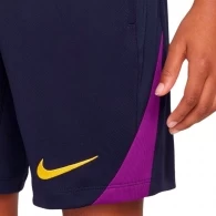 Шорты Nike FCB Y NK DF STRK SHORT KZ thumbnav 3