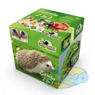 Noriel NOR2655 Noriel Games-Cutiuta Cu Activitati 2 In 1 