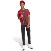 Chipiu Adidas BB CAP COT NL thumbnav 2