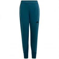 Брюки Adidas J Z.N.E. PT 