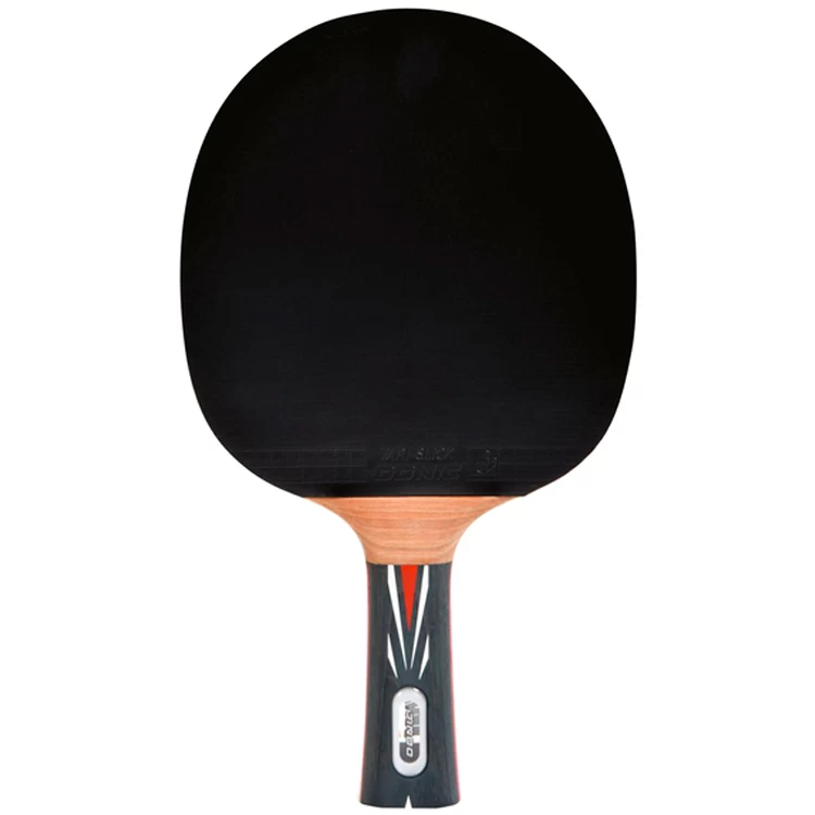 Paleta pentru tenis de masa Donic Top Team 800 photo 2