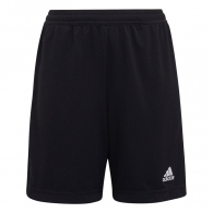 Sorti Adidas ENT22 TR SHOY   thumbnav 1