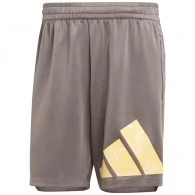 Шорты Adidas WO KNITLOGO SHO 