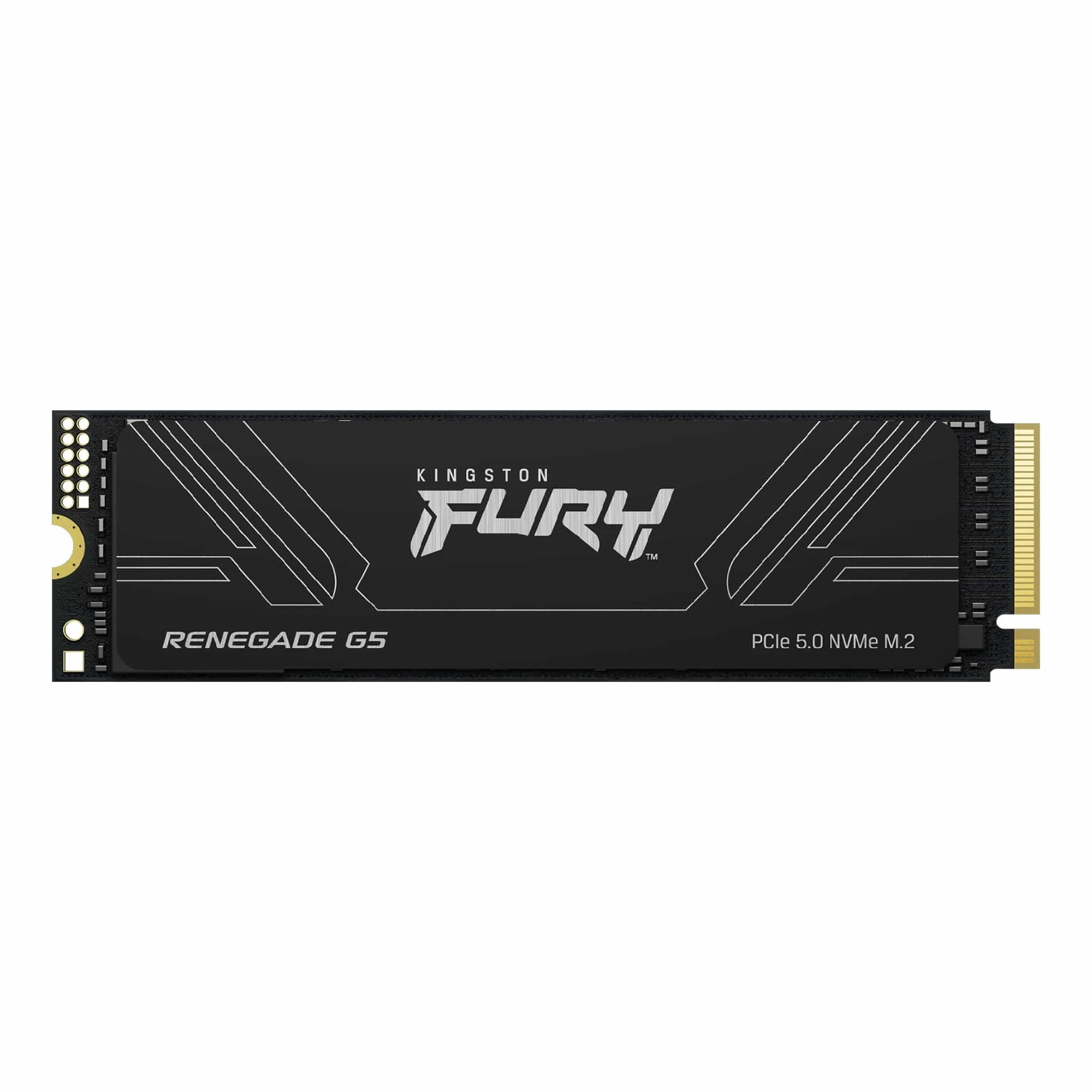 M.2 NVMe SSD Kingston Fury Renegade G5 1TB (SFYR2S/1T0) photo 1