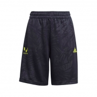 Шорты Adidas B A.R. M SH thumbnav