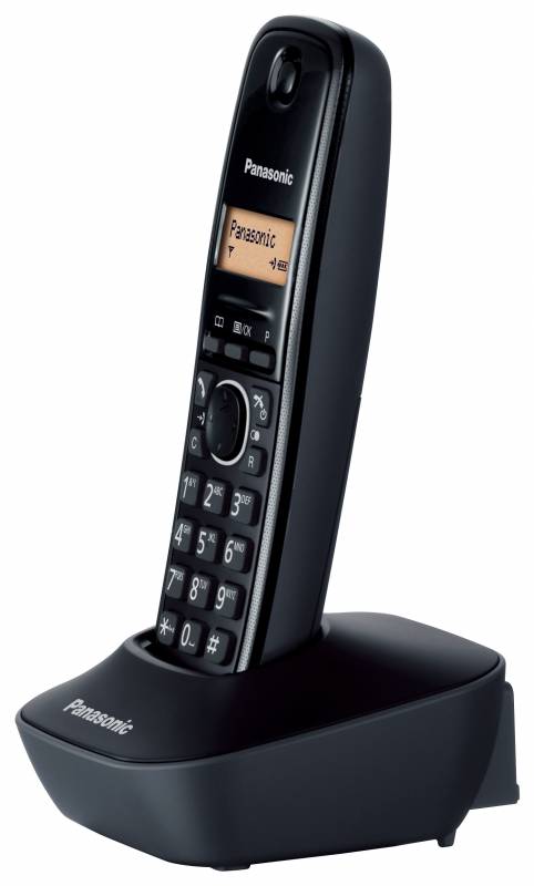 Radiotelefon Panasonic KX-TG1611UAH photo 4