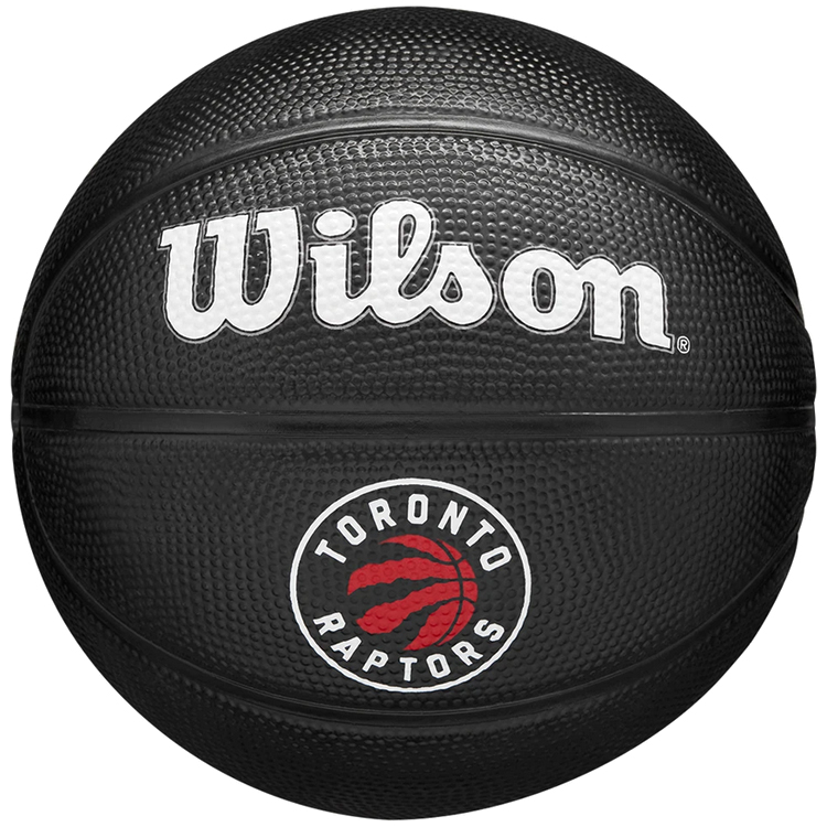 Minge basket Wilson TORONTO RAPTORS Mini photo 