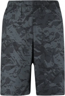 Sorti Demix B Shorts 
