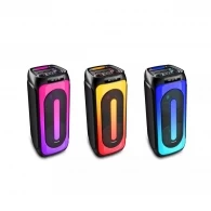 Eden Party Speaker ED-1015 with 2 Wireless Microphones 100W, 10", Black 