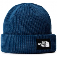 Caciula The North Face SALTY LINED BEANIE thumbnav 2