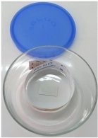 Container (ciclon) Borgonovo RecipientRotund18cm 