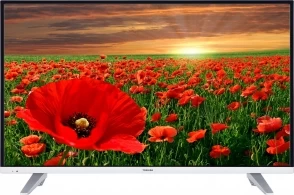 LED телевизор Toshiba 49L3660EV 