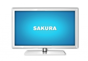 Televizor LED Sakura 22LE12FW thumbnav 1
