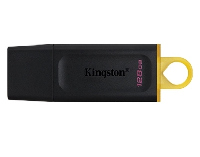 USB Флэш Kingston DTX128GB photo 1