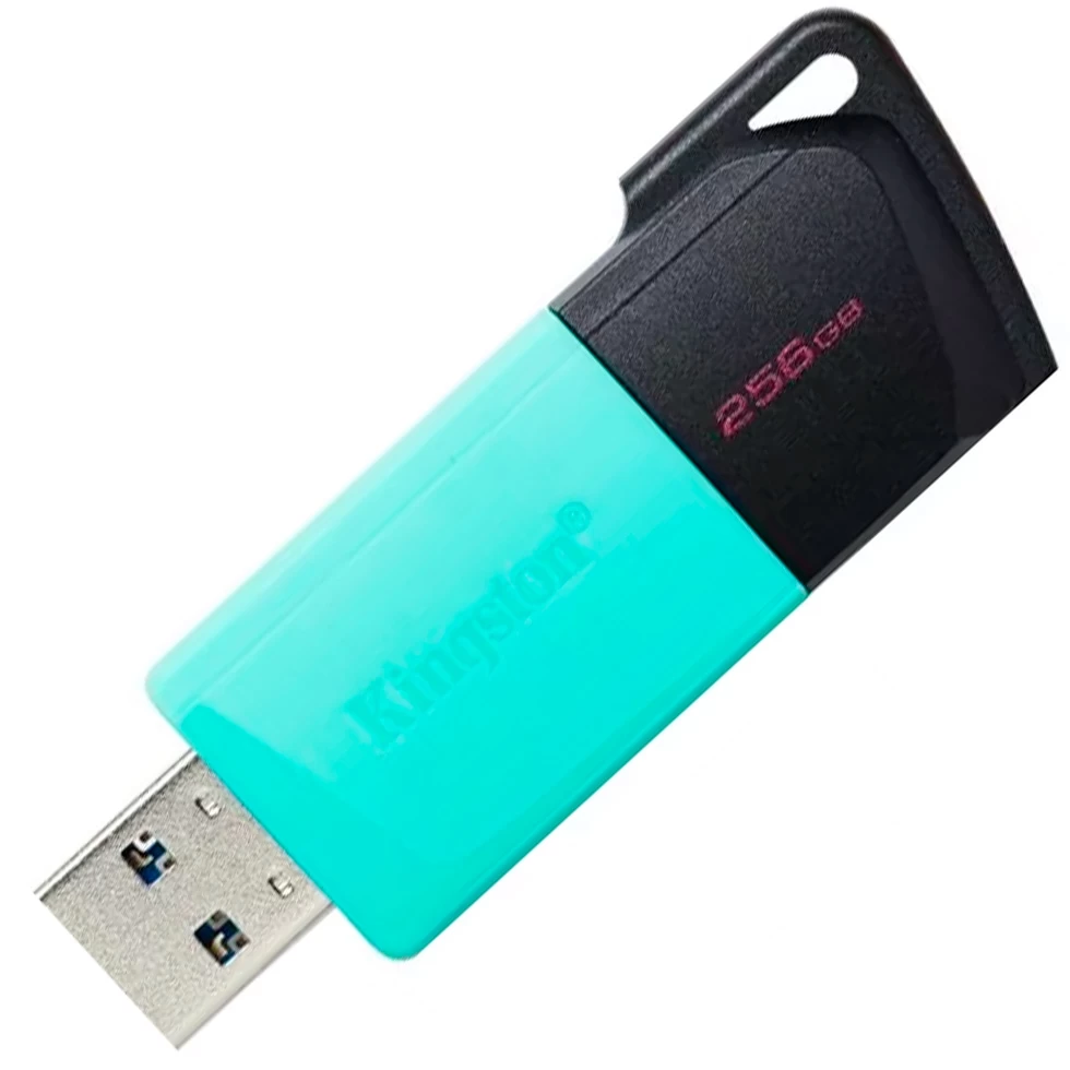 USB Флэш Kingston DTXM256GB photo 3