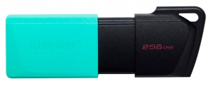 USB Flash Kingston DTXM256GB thumbnav 2