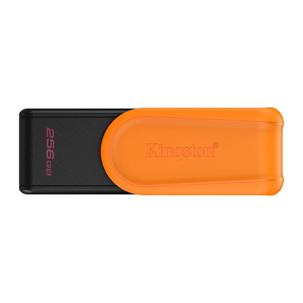 USB Flash Kingston DTXS256GB photo 1