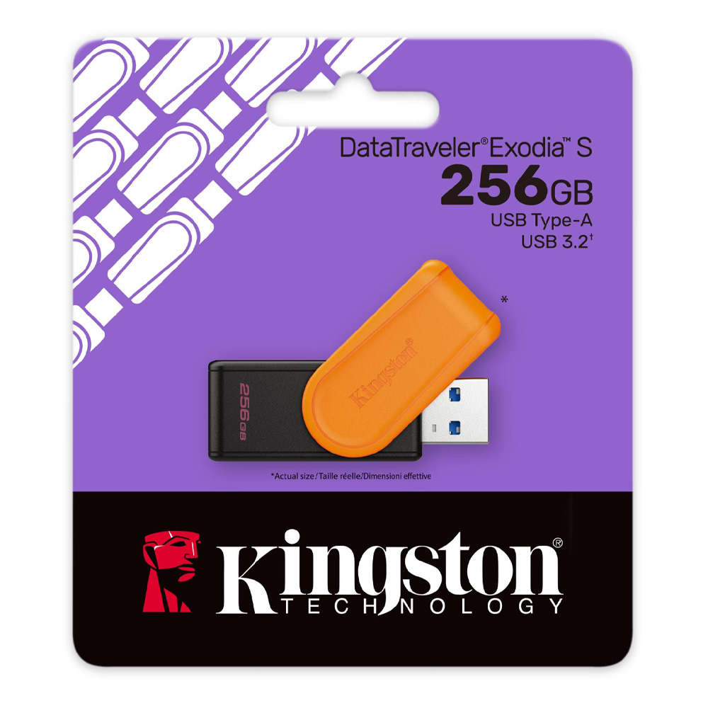 USB Flash Kingston DTXS256GB photo 3